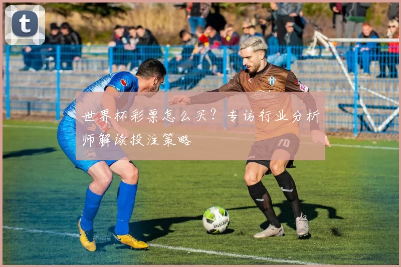 世界杯彩票怎么买?专访行业分析师解读投注策略