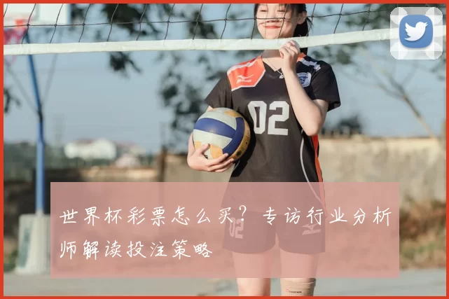 世界杯彩票怎么买？专访行业分析师解读投注策略