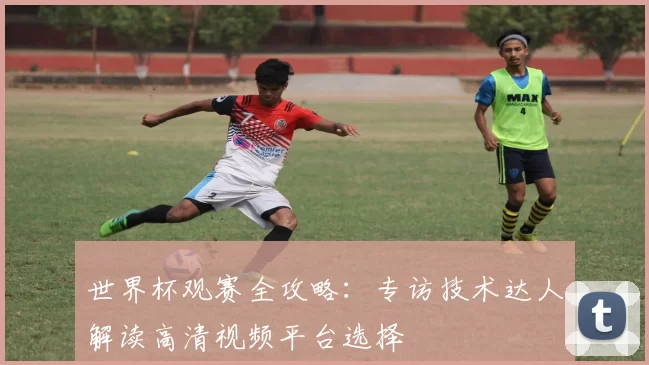 世界杯观赛全攻略：专访技术达人解读高清视频平台选择