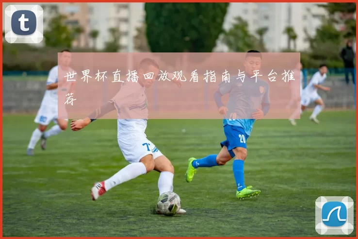 世界杯直播回放观看指南与平台推荐