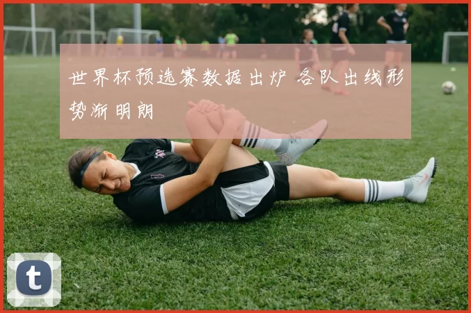 世界杯预选赛数据出炉 各队出线形势渐明朗