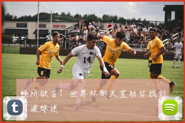 畅所欲言!世界杯聊天室助你找到同道球迷