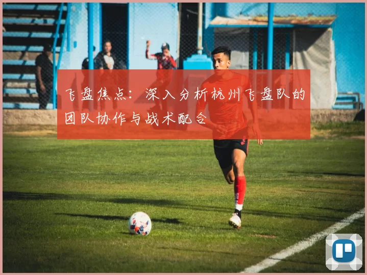 飞盘焦点：深入分析杭州飞盘队的团队协作与战术配合