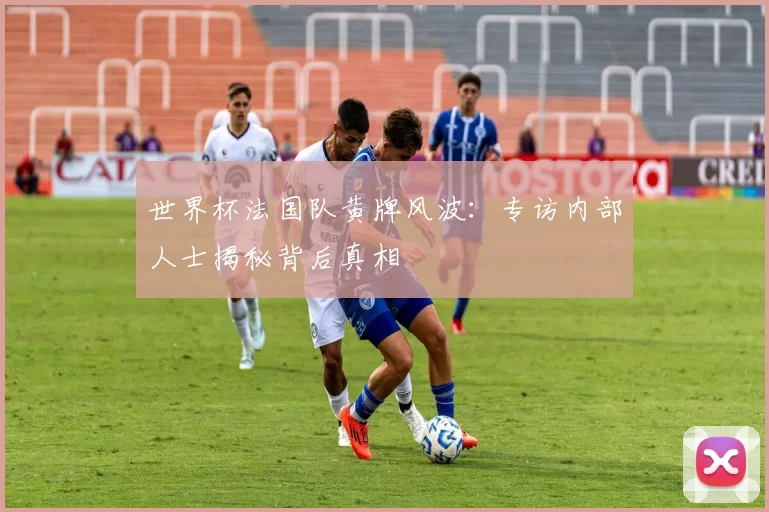 世界杯法国队黄牌风波：专访内部人士揭秘背后真相