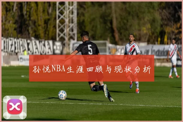 孙悦NBA生涯回顾与现状分析
