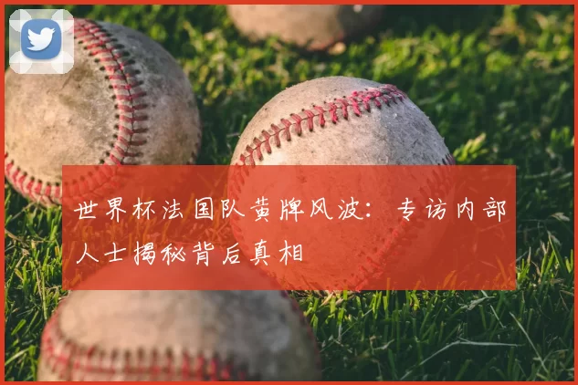 世界杯法国队黄牌风波：专访内部人士揭秘背后真相
